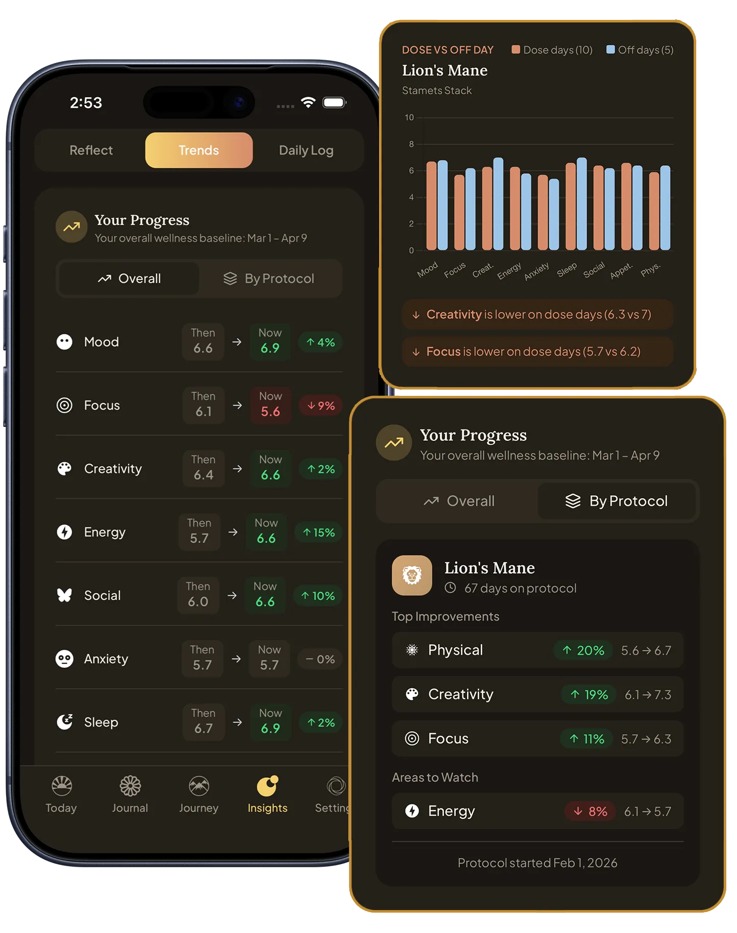 Lucidly's Insights: progress on each metric from your baseline to now, a dose day vs. off day chart, and top improvements for a Lion's Mane protocol